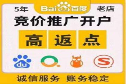 百度竞价优化技巧：实战案例深度剖析